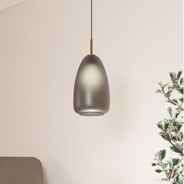 Eglo 900506 - Luster na lanku ALOBRASE 1xE27/40W/230V