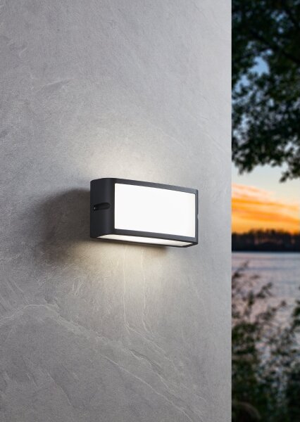 Eglo 900808- LED Vonkajšie nástenné svietidlo CAMARDA LED/10,5W/230V antracit IP54