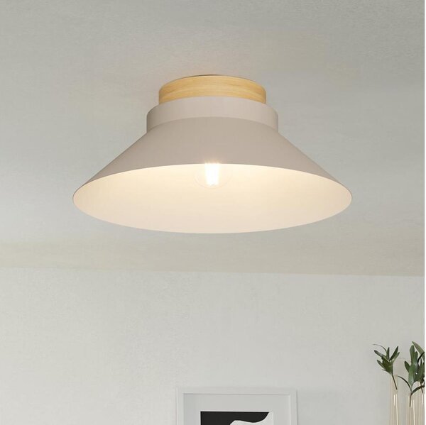 Eglo 900736 - Stropné svietidlo MOHARRAS 1xE27/40W/230V
