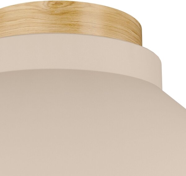 Eglo 900736 - Stropné svietidlo MOHARRAS 1xE27/40W/230V