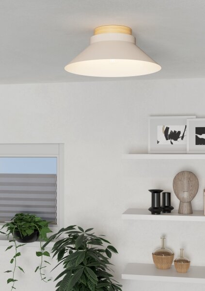Eglo 900736 - Stropné svietidlo MOHARRAS 1xE27/40W/230V