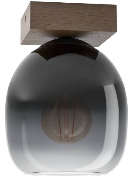 Eglo 900825 - Stropné svietidlo FILAGO 1xE27/40W/230V