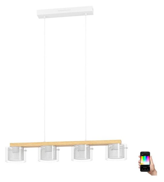 Eglo 900881 - LED RGBW Stmievateľný luster na lanku PORTICO-Z 4xLED/3,7W/230V