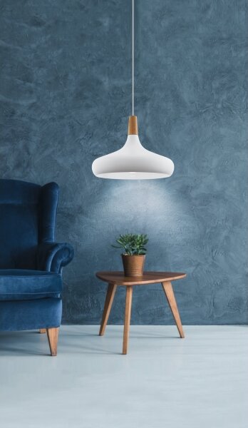 Eglo 901179 - Závesný luster SABINAR na lanku 1xE27/40W/230V priemer 40 cm biela-
