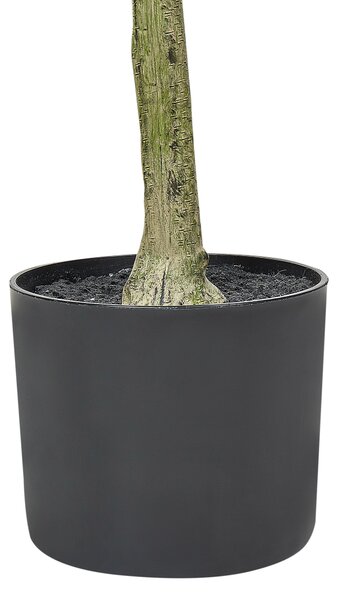 Umelá rastlina olivovník v kvetináči zelená a čierna plast 153 cm ozdobné interiérové doplnky