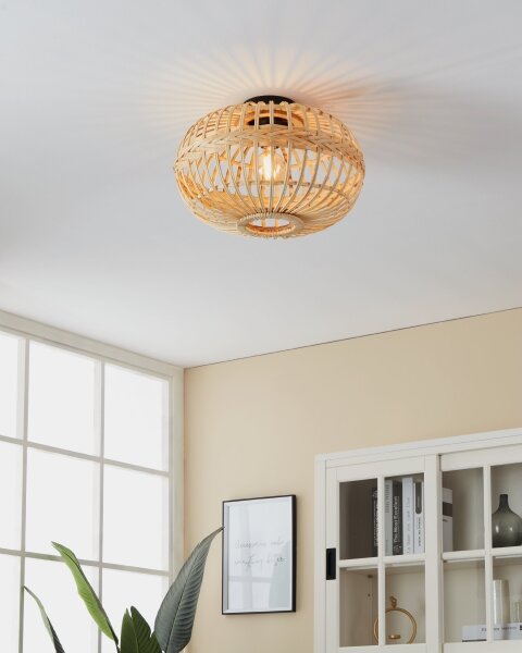 Eglo 43723 - Stropné svietidlo AMSFIELD 1xE27/40W/230V