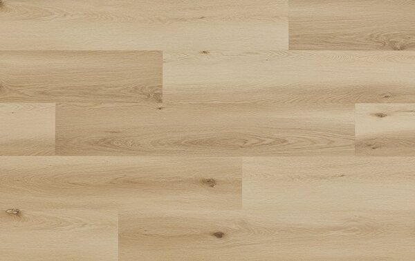 Arbiton Woodric EIR Wood Structure DUB NORDLAND CWS 207