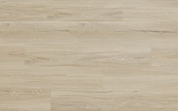 Arbiton Woodric EIR Wood Structure DUB SALERNO CWS 209
