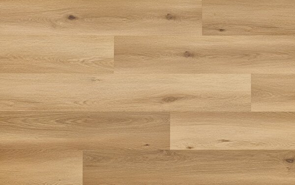 Arbiton Woodric EIR Wood Structure DUB CAVAILLON CWS 210