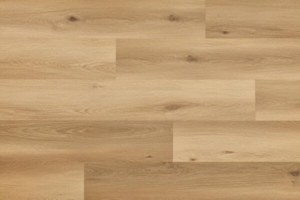 Arbiton Woodric EIR Wood Structure DUB CAVAILLON CWS 210