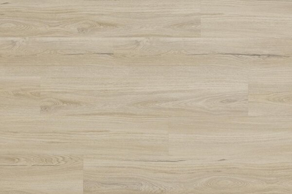 Arbiton Woodric EIR Wood Structure DUB SALERNO CWS 209