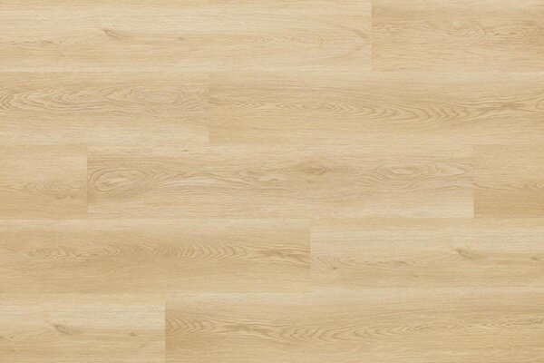 Arbiton Woodric DUB HOLMAN CW 182