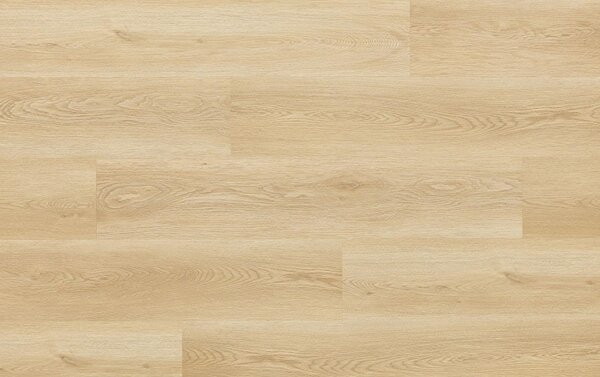Arbiton Woodric DUB HOLMAN CW 182