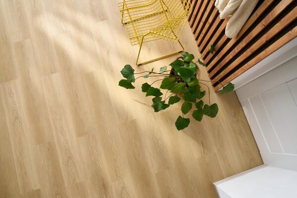 Arbiton Woodric DUB HOLMAN CW 182
