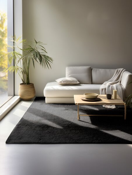 Hanse Home , Kusový koberec Bouclé Jute 105976 Black, 120x170, čierna, chodba / predsieň