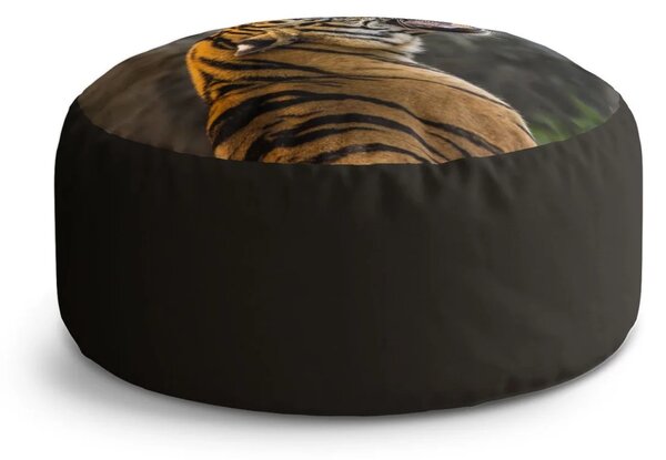 Sablio Taburet Revúci tiger: 38x48 cm