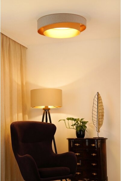 Brilagi - LED Stropné svietidlo VEGAS SHINE LED/24W/230V pr. 60 cm béžová/krémová