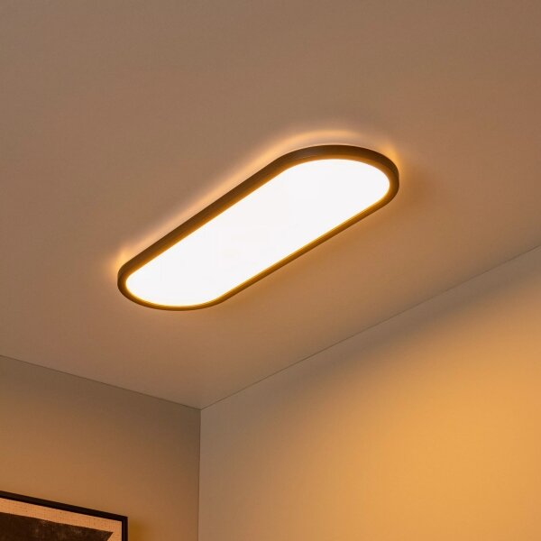 Lucide 07121/24/30 - LED stmievateľné stropné svietidlo ELLY 24W/230V 2700/3300/4000K