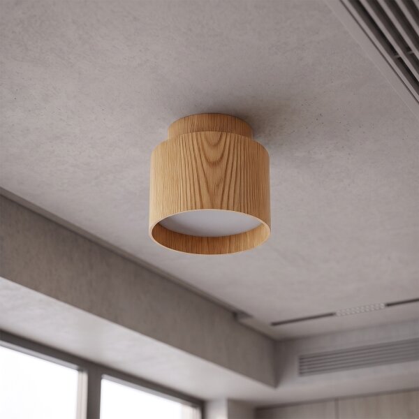 BRILAGI - LED bodové svietidlo BACKLIT 1xGX53/15W/230V+LED/3W pr. 8 cm dek. duba