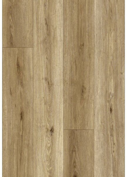 Mexen Sanford vinylové panely 1240 x 182 mm SPC 6,5 mm, podklad IXPE 1,5 mm, 4 V-spája, dub - F1059-1240-182-505-4V1-01