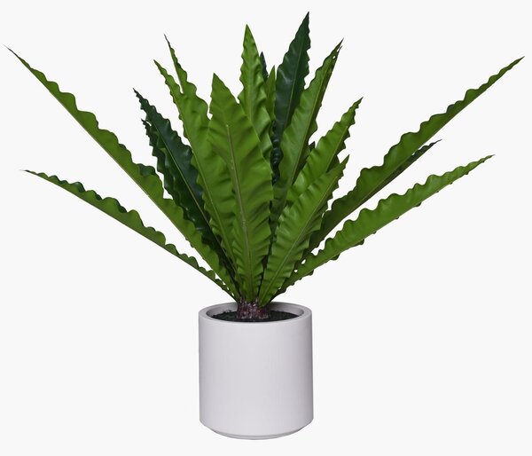 Umelé papradie ASPLENA, plast, výška 90 cm, zelená