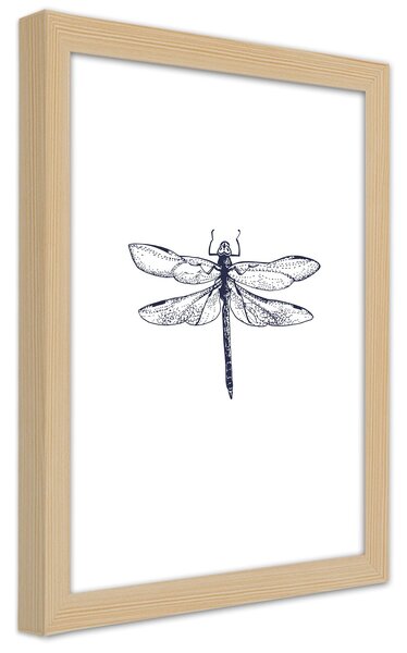 Gario Plagát Vážka nakreslená Farba rámu: Prírodná, Veľkosť: 30 x 45 cm