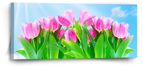 Sablio Obraz Ružové Tulipány - 110x50 cm