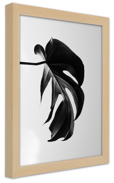 Gario Plagát Čierna a biela monstera list Farba rámu: Prírodná, Veľkosť: 20 x 30 cm