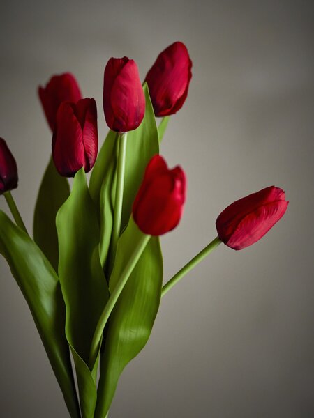 Umělá kytice Tulip Bouquet Red 35 cm