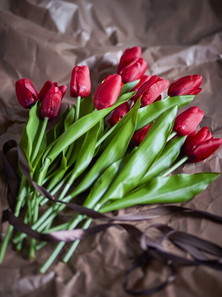 Umělá kytice Tulip Bouquet Red 35 cm