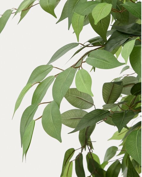 Umelý fikus (výška 180 cm) Ficus – Kave Home