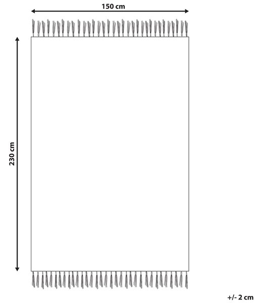 Koberec viacfarebný polyester a bavlna 150 x 230 cm orientálny so strapcami obývacia izba spálňa