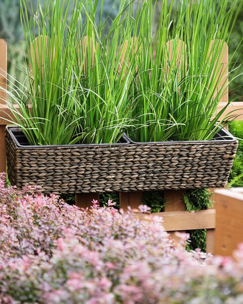 Kvetináč hnedý z vodného hyacintu 80 x 20 cm obdĺžnikový syntetická vložka s drenážnymi otvormi