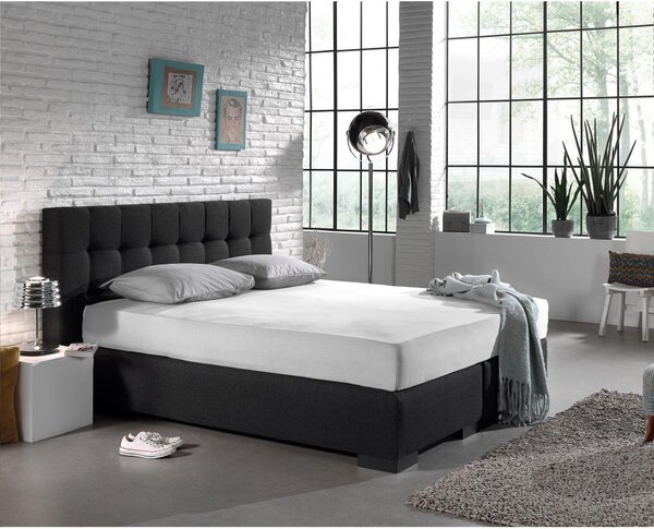 DreamHouse Prestieradlo Jersey biela 80/100 x 200