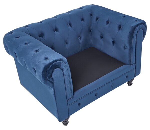 Kreslo chesterfield modré zamatové čalúnené nízke prešívané operadlo tmavé drevené nohy moderné
