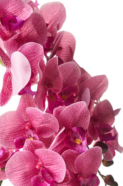 Umelá rastlina v kvetináči orchidea zelená a ružová syntetický materiál 65 cm dekorácie doplnky interiér
