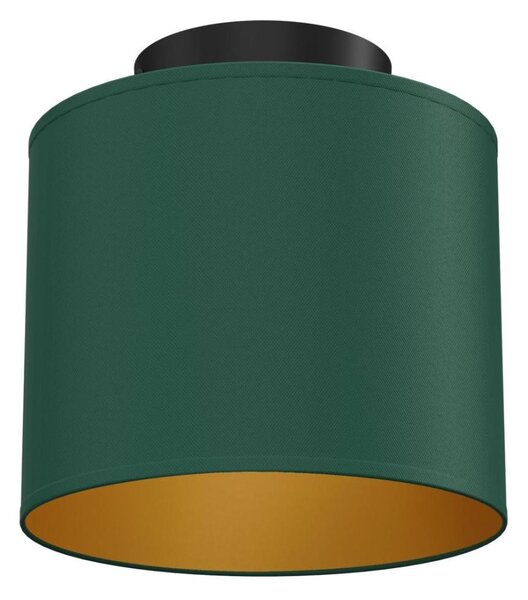 Stropné svietidlo ARDEN 1xE27/15W/230V pr. 18 cm zelené