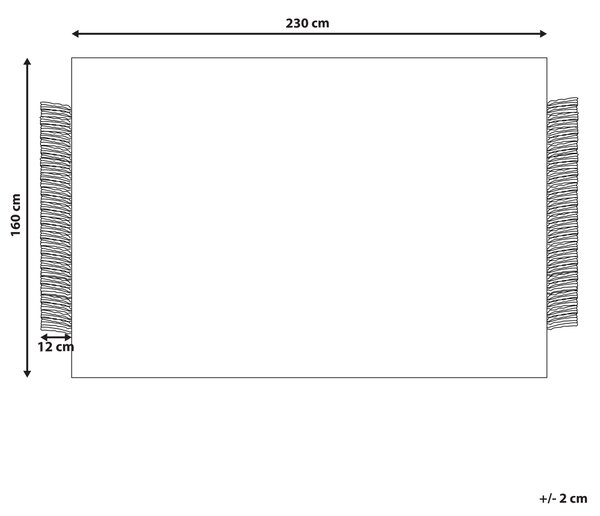 Koberec čierna a krémová biela 160 x 230 cm obdĺžnikový ručne tkaný so strapcami moderný dizajn