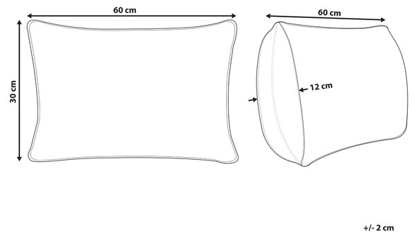 Dekoratívny vankúš béžová tkanina 30 x 60 cm károvaný vzor obliečky so strapcami textil doplnky