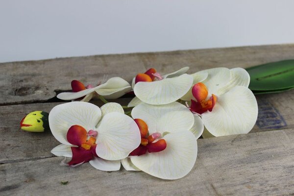 Biela umelá orchidea s listami 44cm