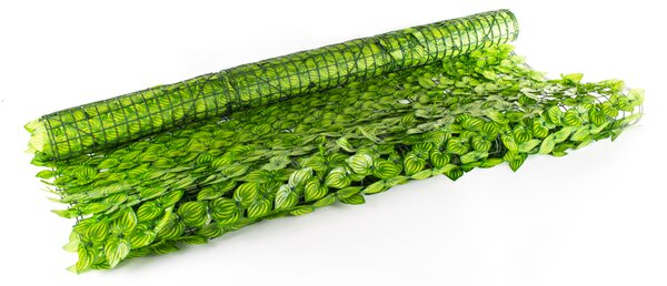 Umelý živý plot Hawaj Vavrín svetlý Rolka 1 x 3 m