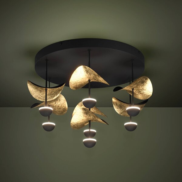 Stropné LED svetlo Stars of Light Dracera čierna/zlatá Ø 51 cm, Čierna, Obývacia izba / jedáleň, kov, Moderný, Stropné svetlo