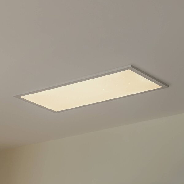 Panel Lindby Kenma LED, 29,6 cm x 59,6, Biela / opálová, Obývacia izba / jedáleň, Plast, Moderný, Stropné svetlo