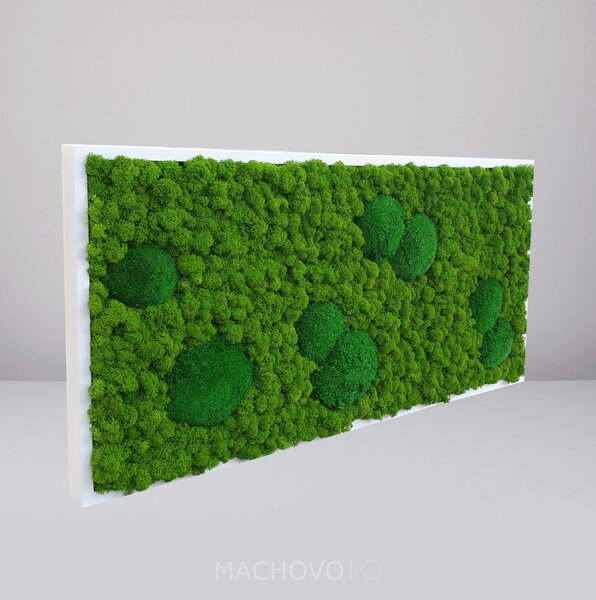 Machový obraz - obdĺžnik - kopcovitý s lišajníkom