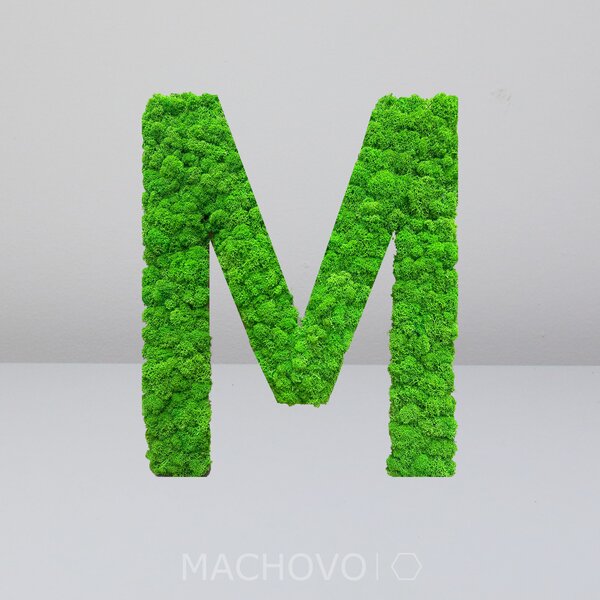 Machový obraz - písmená