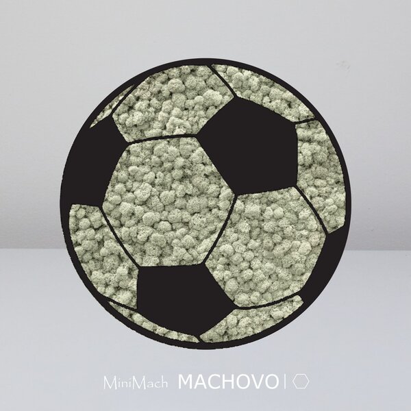 Machový obraz - FUTBALOVÁ LOPTA