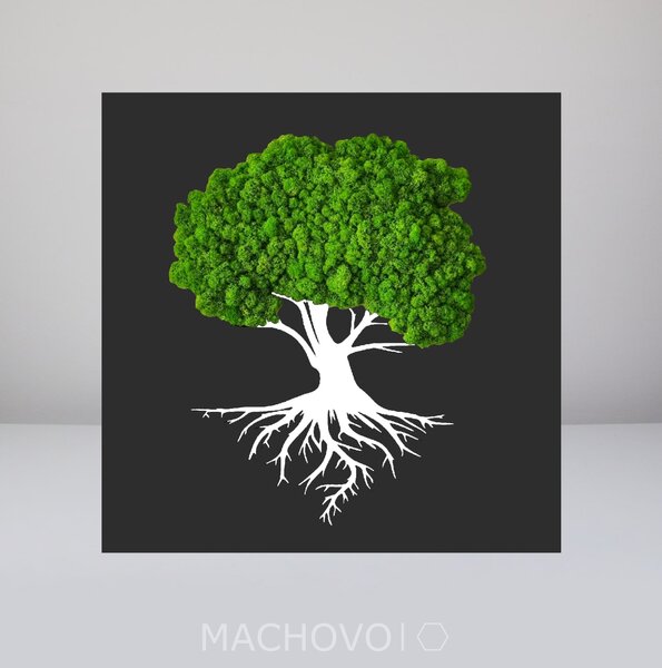 Machový obraz - strom s koreňmi biely s podkladom