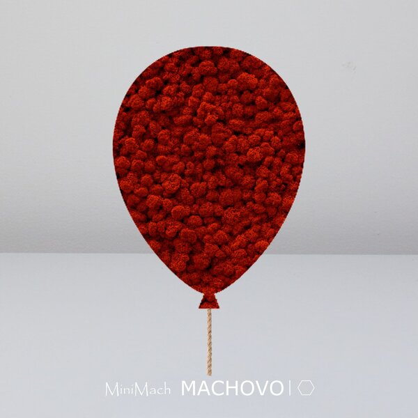 Machový obraz - BALÓN