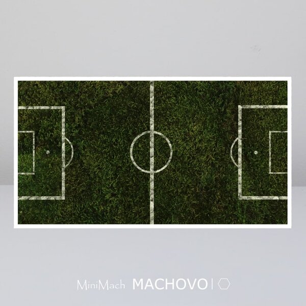Machový obraz - FUTBALOVÉ IHRISKO