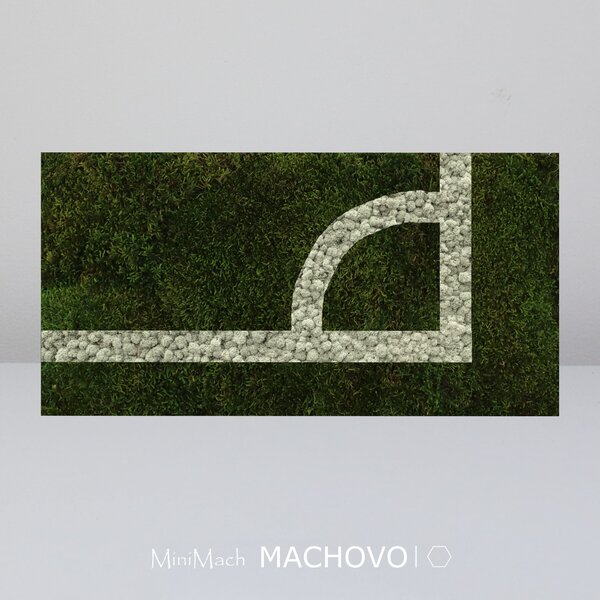 Machový obraz - FUTBALOVÉ IHRISKO- roh